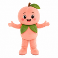 Custom Peach Mascot Costume