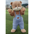 Custom Teddy Bear Mascot Costume