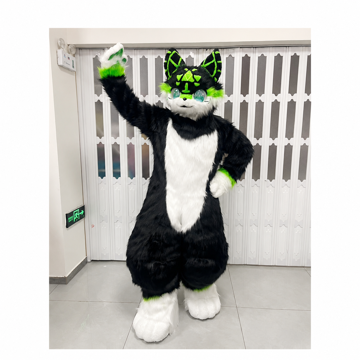 Premium Custom Brand Mascot Costumes