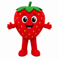 Custom Strawberry Mascot Costume