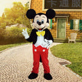 Classic Mouse Couple Mascot Costumes