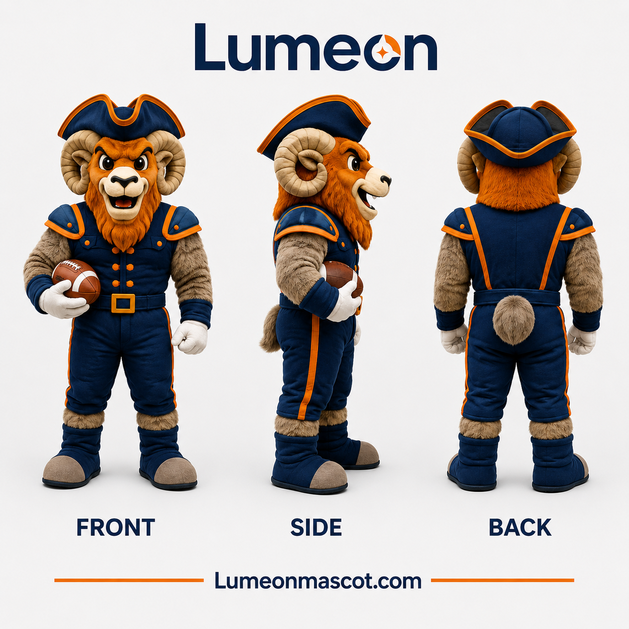 Custom Pirate Lion Mascot Costume