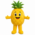 Custom Pineapple Mascot Costume
