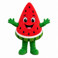 Custom Watermelon Mascot Costume