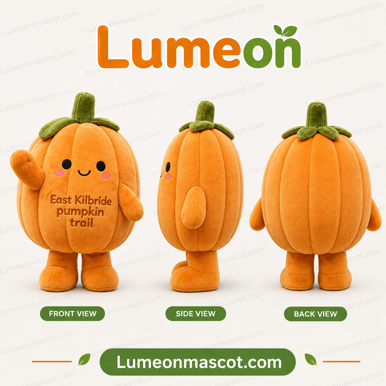 Costom mascot costume pumpkin