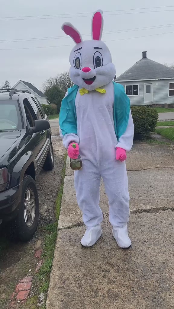 Easter Bunny Mascot Costume